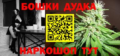 индика Гусиноозёрск