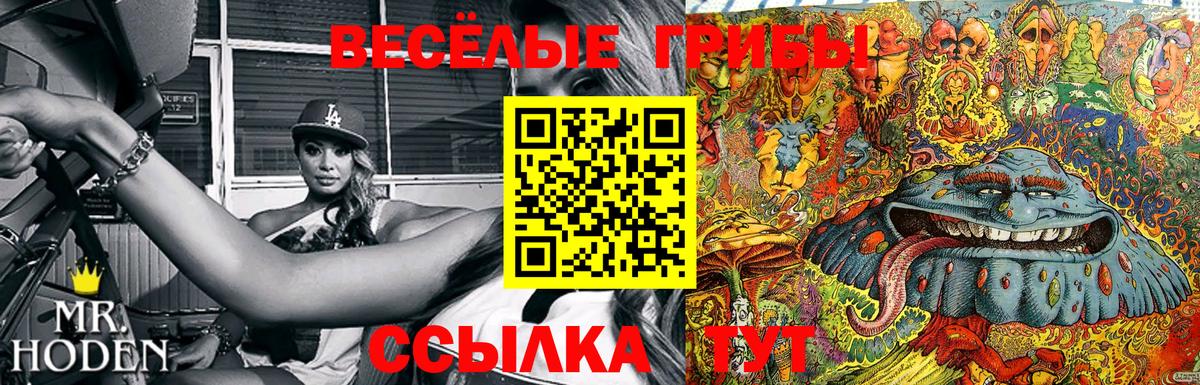 Галлюциногенные грибы Cubensis Волгодонск
