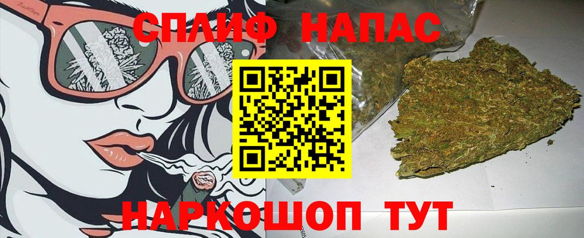 Шишки марихуана сатива  Канабис OG Kush  Вход с VPN  Канабис SATIVA & INDICA  Волгодонск 